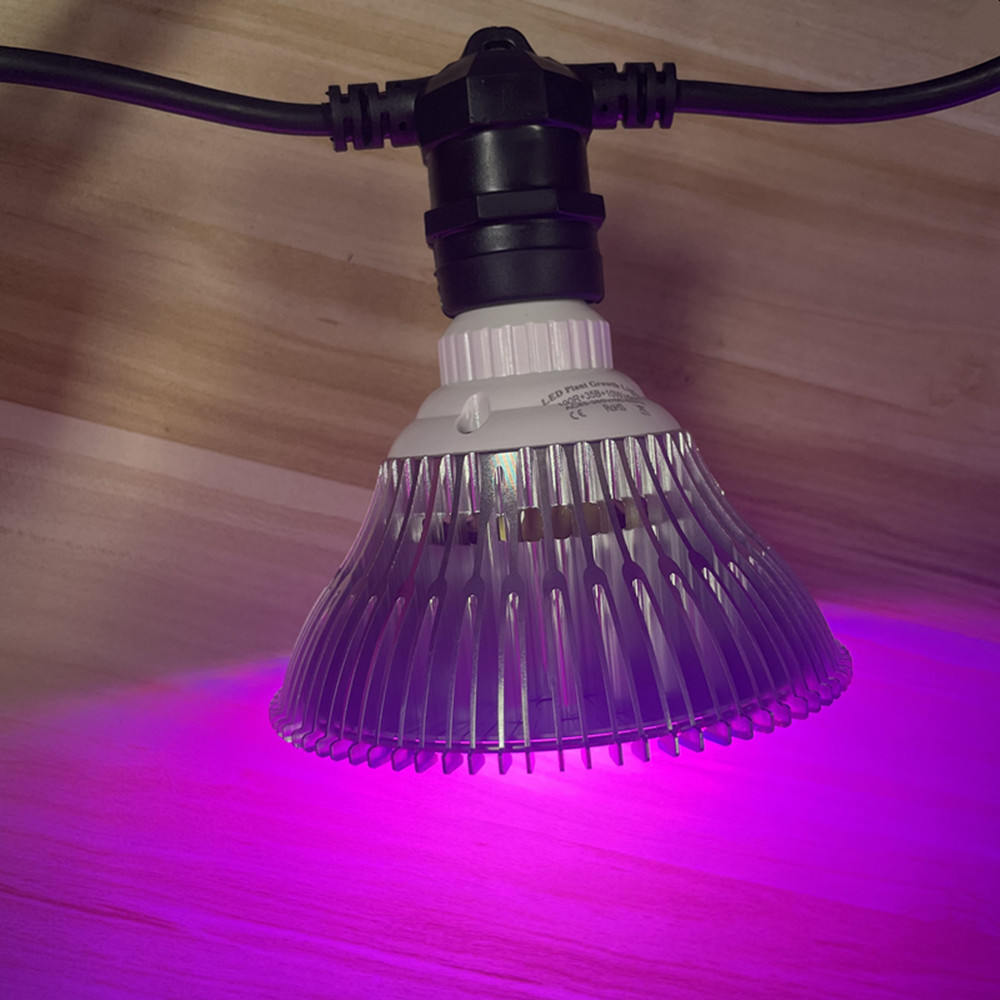 Guirlande lumineuse LED de 10M - Outdoor Power Adapter avis et prix